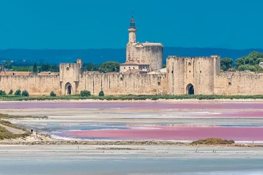 Studio En Petite Camargue Le Cailar Exterior foto